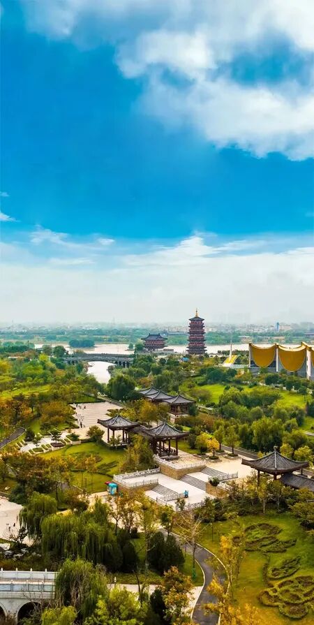 1762396369502373.jpg 116.5.jpg