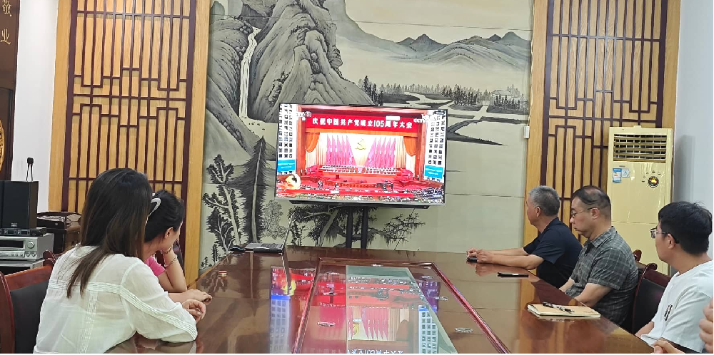 洛阳周公庙博物馆组织全体职工集中观看庆祝中国共产党成立105周年大会直播